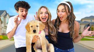 SURPRISING MY FRIENDS WITH MY NEW PUPPY!!