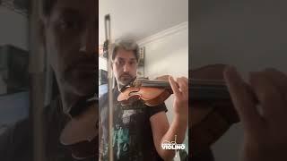 O MESTRE PAULO CALLIGOP NOS LEVA EM UMA VIAGEM PELO "OUTONO" | ACADEMIA DE VIOLINO