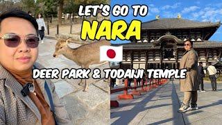 Let's go to Nara Park & Todaiji Temple! + Eating Authentic Tsukemen Ramen  | JM BANQUICIO