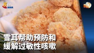 晨光|养生时膳：雪耳帮助预防和缓解过敏性咳嗽