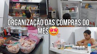 ORGANIZAÇÃO DAS COMPRAS DO MÊS|| ORGANIZEI AS CARNES🫡