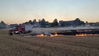 Flächenbrand-Übung der Feuerwehr im Landkreis Rosenheim (August 2022)