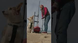 It will be fun, he said  We took a gadget to the beach to help us catch fish