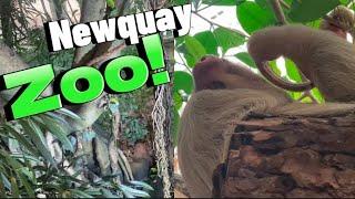 We Visited Newquay Zoo! | Lush Bagels For Lunch | Hilarious Slide Situation!