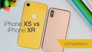iPhone XS vs iPhone XR comparison review