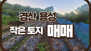 0542. 경산 용성 작은 토지 매매합니다 #토지매매 #작은토지매매 #경산토지 #경산토지매매 #소형토지 #경일부동산 #텃밭 #농막