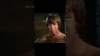 Bruce Lee  / Chuck Norris Fighting scene