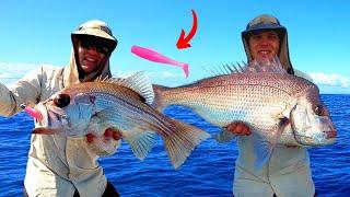 Is this the BEST Snapper Lure EVER? (Insanely hot session!)