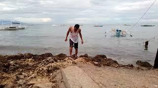 Happy Fiesta Tabunok Lipayran Island and Happy Birthday Late Upload August 28,2024