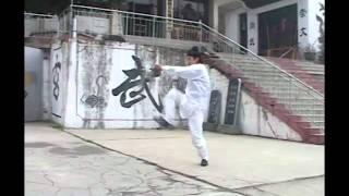 WUDANG  Taming Tiger Form ( Fu Hu Quan) Instructional DVD by Master Bing!!