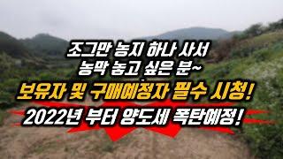 아직 모르시나요. 302.5평 미만 주말농장용 토지 보유자 및 구매예정자 필수 시청! 조그만 농지하나사서 농막 올려 놓고 싶다구요? 2022년 부터 주말농장용 농지 양도세 폭탄예정