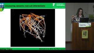 Exploring the rhizosphere: Imaging root-soil interactions using x-ray-computed tomography HD