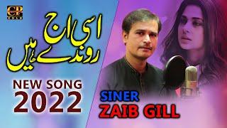 Asi Aj Rondey Haen | Zaib Gill | Latest Punjabi and Saraiki Song Cp Gold 2022