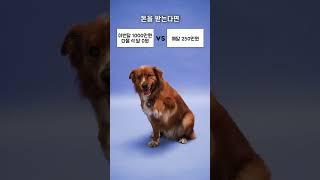 [밸런스게임] 직장인 vs 프리랜서? | 나의 직업 성향은? #적성 #성향 #밸런스게임