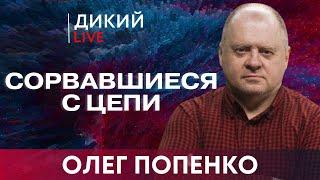 Когда держат за дураков… Олег Попенко. Дикий LIVE.