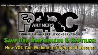 Save Our Amphibians & Reptiles: How YOU Can Reduce the Spread of Disease