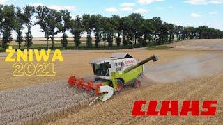 Żniwa 2021  Claas Mega 350