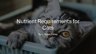 Dietary Requirements for Cats