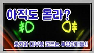 베테랑 운전자들도 잘 모르는 후방안개등 (Rear fog lights that drivers do not know) [차좋아]