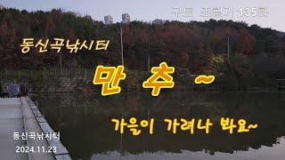 만추~   -  구트 조행기 135화  - 장대낚시, 잉어낚시, 향어낚시, Carp fishing, long rod fishing