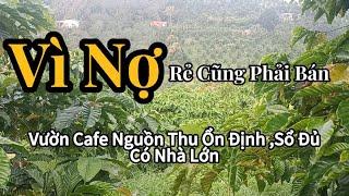 Siêu Hot! Bán Lô Đất Đắk Nông Giá Rẻ - Nhà Lớn, Khu Dân Cư Đông Đúc, Nguồn Thu Mạnh, Đầu Tư Ngay!