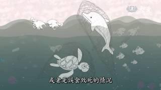 【減塑行動。拯救海洋】海洋生物偵查庭-3 誤把塑膠袋當成食物！56%鯨豚受到傷害