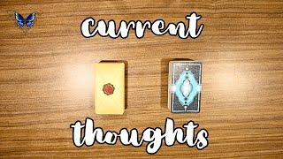  THEIR CURRENT THOUGHTS   Timeless Tarot Reading 