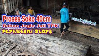 Proses bahan joglo soko 40cm kayu jati terbaik perhutani TPK Blora world finest teak wood sawing