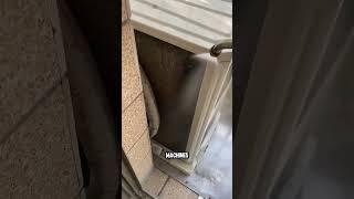 Outdoor AC Cleaning Made Easy #shorts