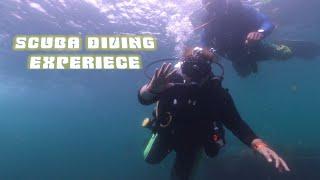 Scuba Diving experience#Lezielable