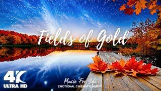 Fields of Gold - Beautiful World 4K Film Music