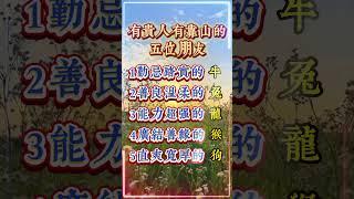 有貴人有靠山的五個生肖