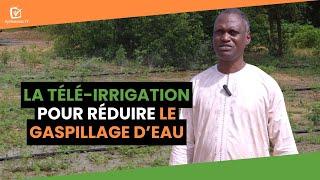 Niger : La télé-irrigation pour réduire le gaspillage d’eau