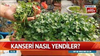 Kanseri nasıl yendiler? - Atv Haber 18 Ekim 2018