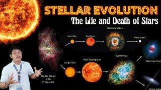 STELLAR EVOLUTION | The Life and Death of Stars | #EvolutionOfStars #StarFormation