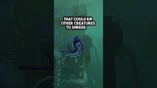 The Secrets Hidden By The Warper
