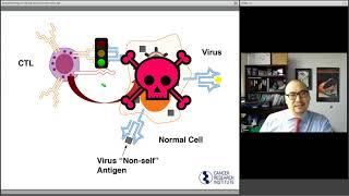 Immunotherapy for Blood Cancers: Updates from the Field, with Hearn Jay Cho, M.D., Ph.D.