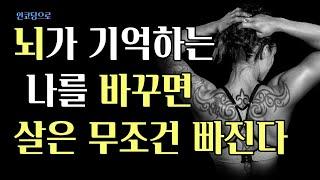 다이어트 뇌와 몸이 기억하는 과거의 나를 지워라! 기초대사량이 변한다