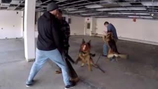 Protection Dog Class (K9-1.com)