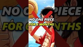 One Piece will stop for six months! #anime #zorovsluffy #luffy #nami #onepiece #zoro