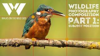 How to compose wildlife photos - Part 1: Subject Position