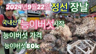 2024년9월22일 정선장날 국내산 (태백산) 능이버섯. 80k 처음 나왔어요. 능이버섯 가격을 물어보았습니다