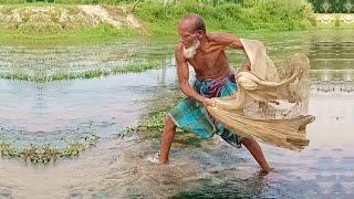 Traditional Village Fishing Video - Amazing Net Fishing Video - Cast Net Fishing Video