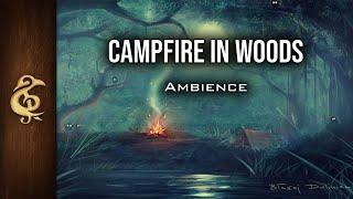 Campfire In Woods (Night) | Nature Ambience | 1 Hour #dnd