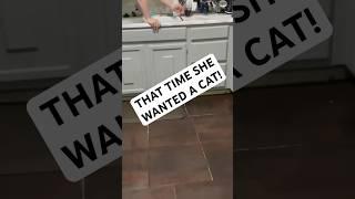 Does it get old!?! NEVER#dadissues #daughter #cat #davidcsmalley #comedy #standupcomedy