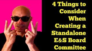 4 Things to Consider When Creating a Standalone E&S Board Committee