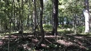 6.8 acres walk in the woods