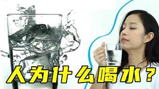 The source of life, why drink water every day? [Hi Popular Science]