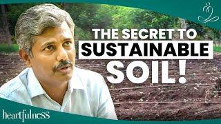 Hidden Power of Vermicompost in Farming