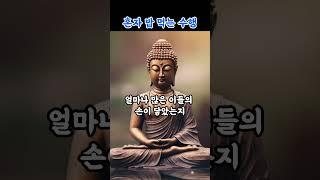 혼자 밥 먹는 수행 부처님말씀|불교수행|불교명언|마음챙김|마음치유|혼합수행|감정정화|불교오디오북